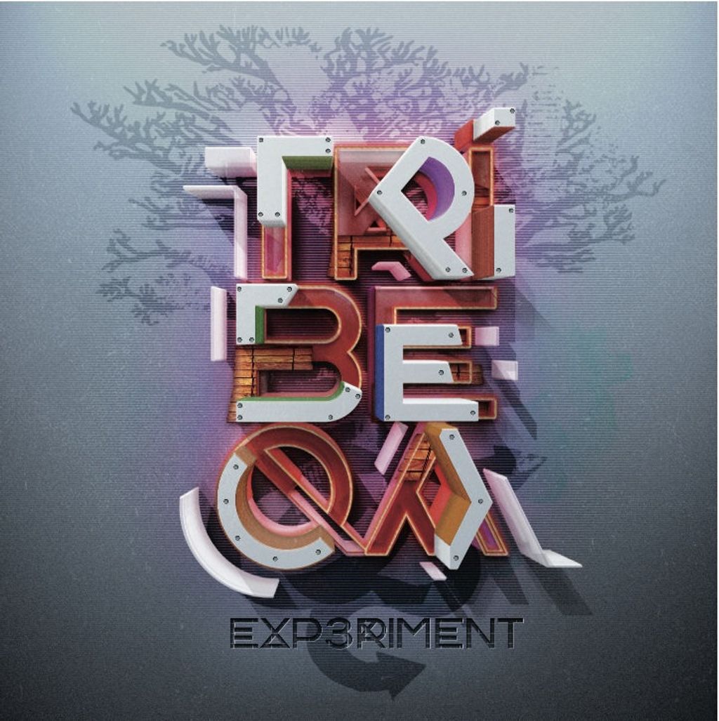 TRIBEQA—Experiment 01