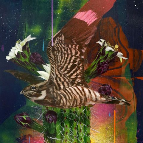 Todd Russell&The Dangerous Coats—Playa Larga:1900 Ocean Ave 01