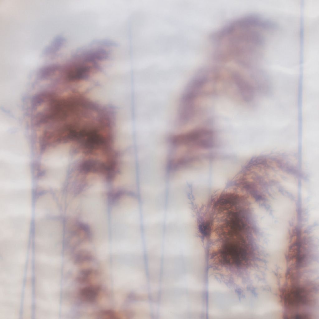 Ovïd—Dream Sequence 01