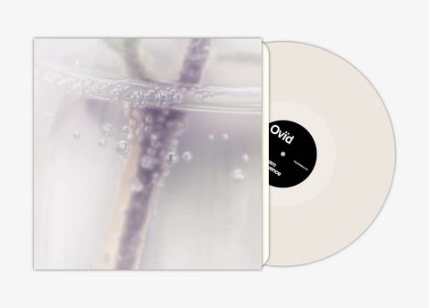 Ovïd—Dream Sequence 02