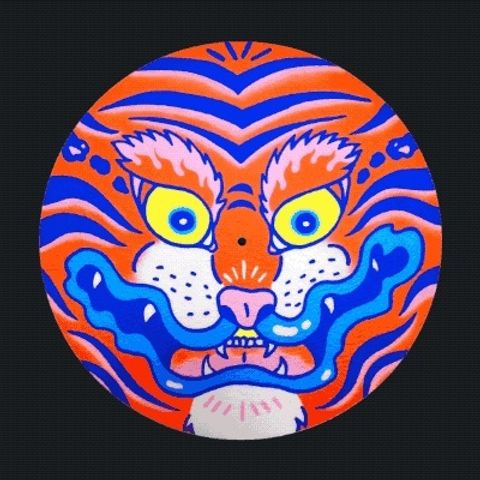 TIGER-RECTO