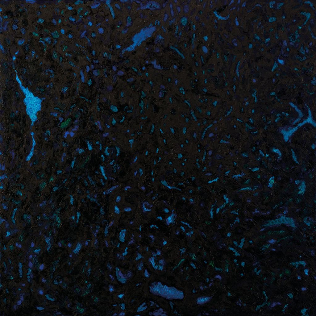 Zenker Brothers—Immersion 01