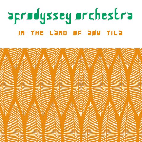 Afrodyssey Orchestra—In the Land of Aou Tila 01