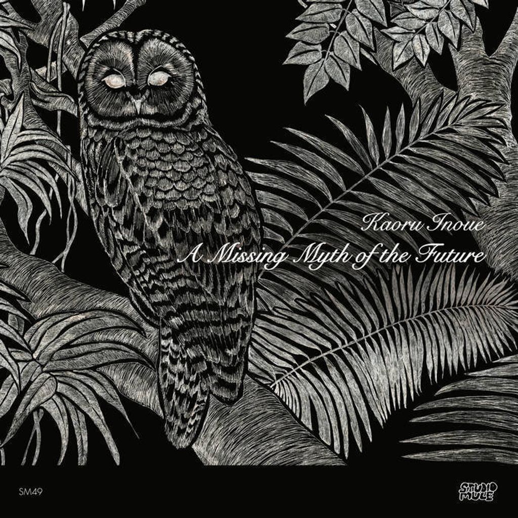 Kaoru Inoue—A Missing Myth of the Future 01