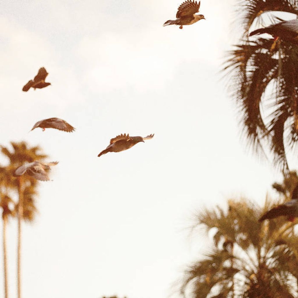 Motohiko Hamase—Intaglio 01