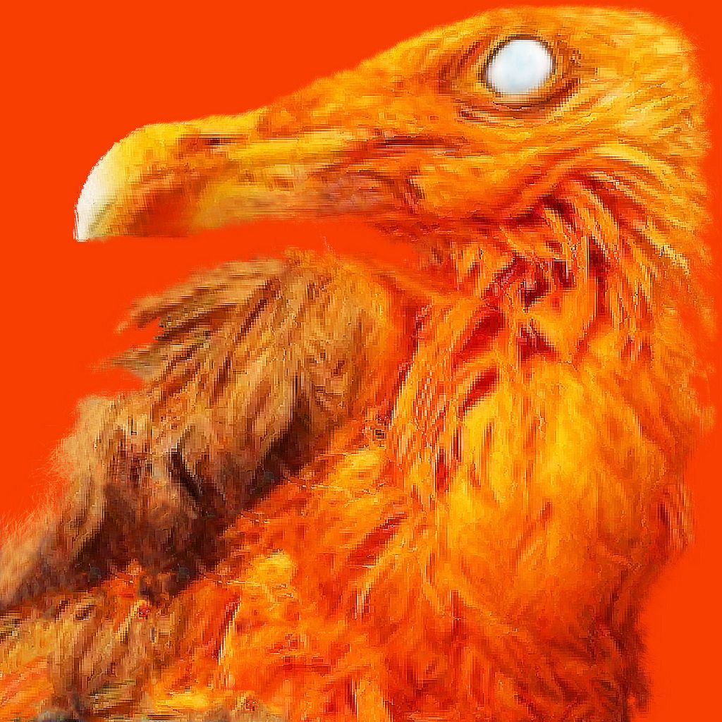 Torus—333 Mirrors 01