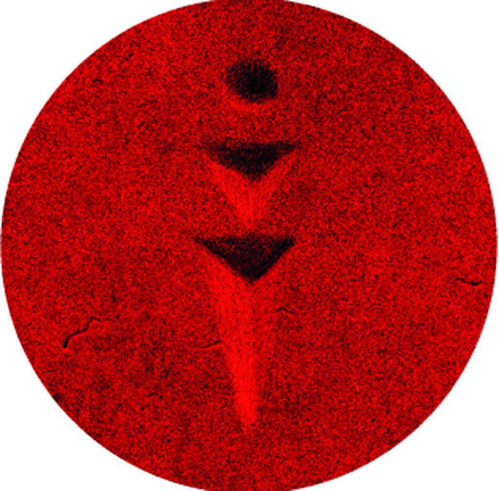 Exterior—Plagued Streets Of Pity 03