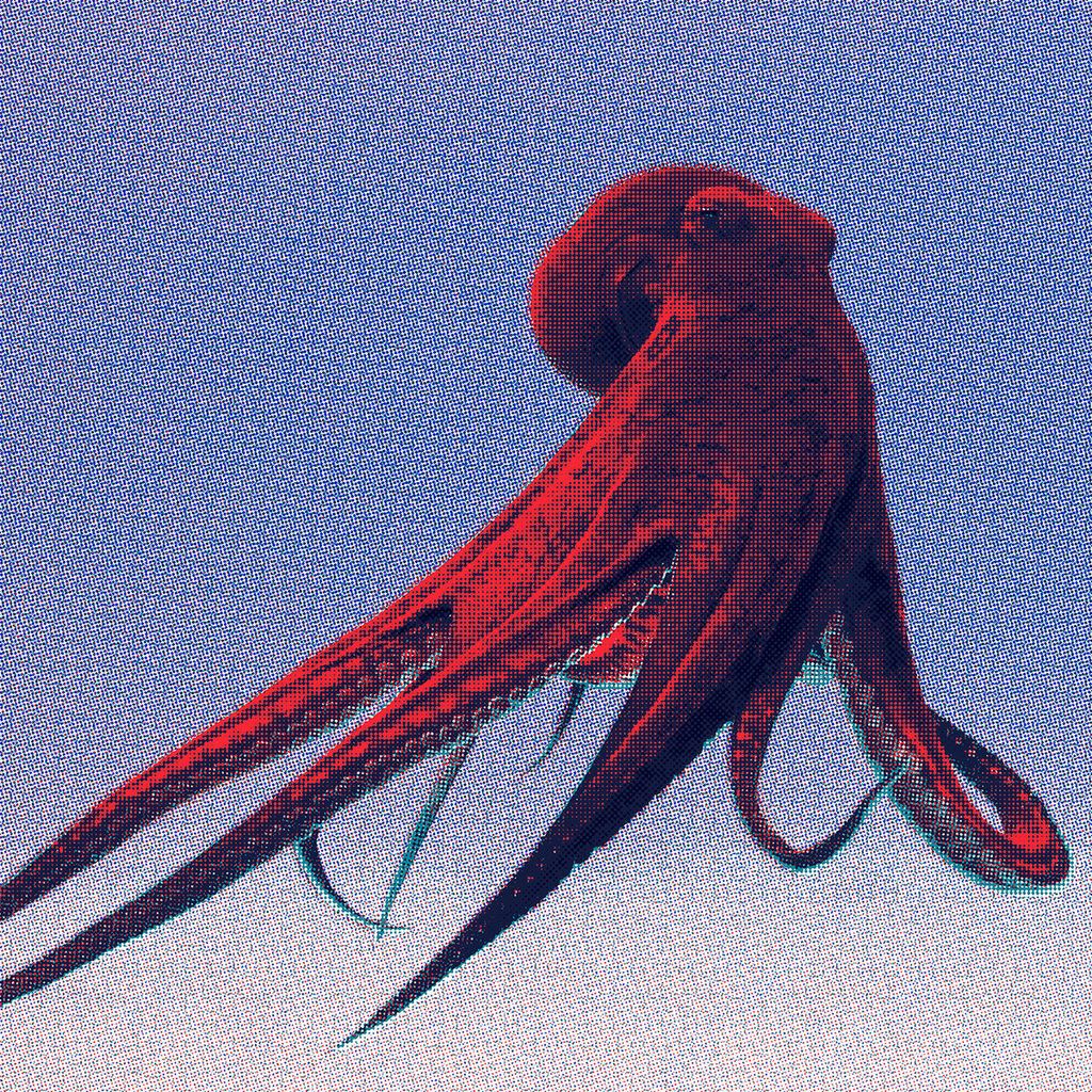 Maastricht Research—Idle Animation 01