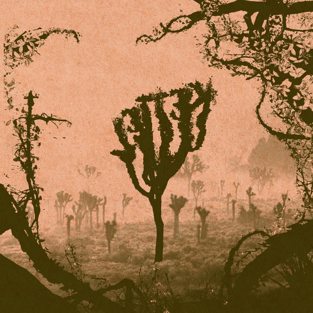 Kettel—My Dogan 01