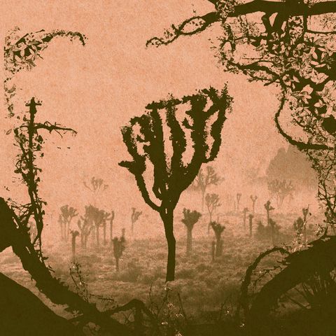 Kettel—My Dogan 01