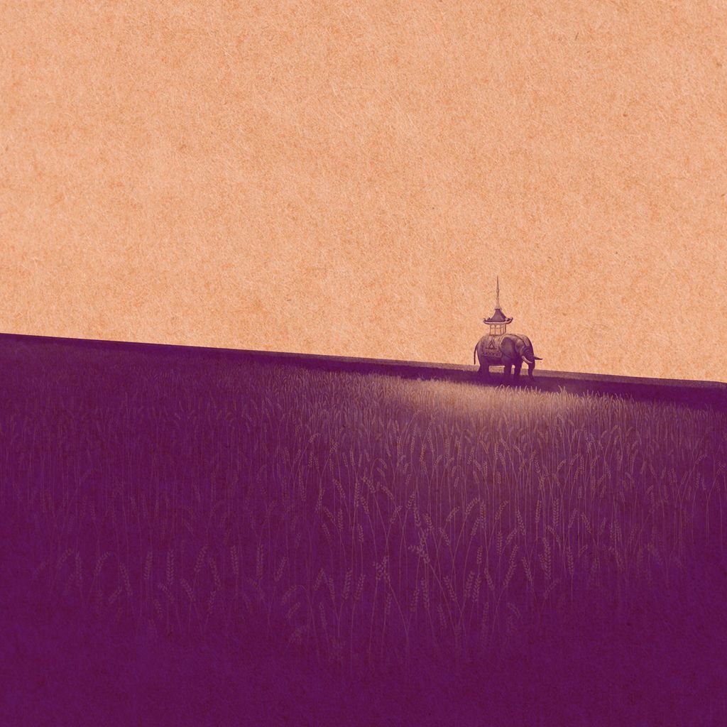 Kettel—Myam James 2 01