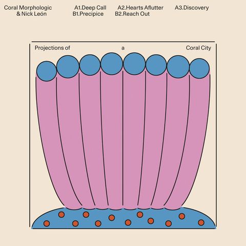 Coral Morphologic&Nick León—Projections of a Coral City 01