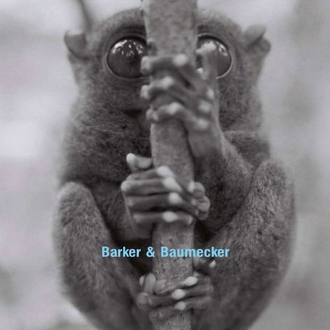 Barker&Baumecker—Candyflip 01