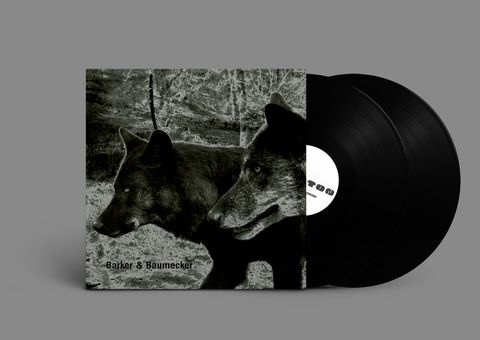 Barker&Baumecker—Transsektoral 02