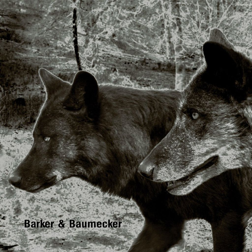 Barker&Baumecker—Transsektoral 01