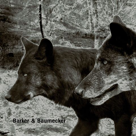 Barker&Baumecker—Transsektoral 01