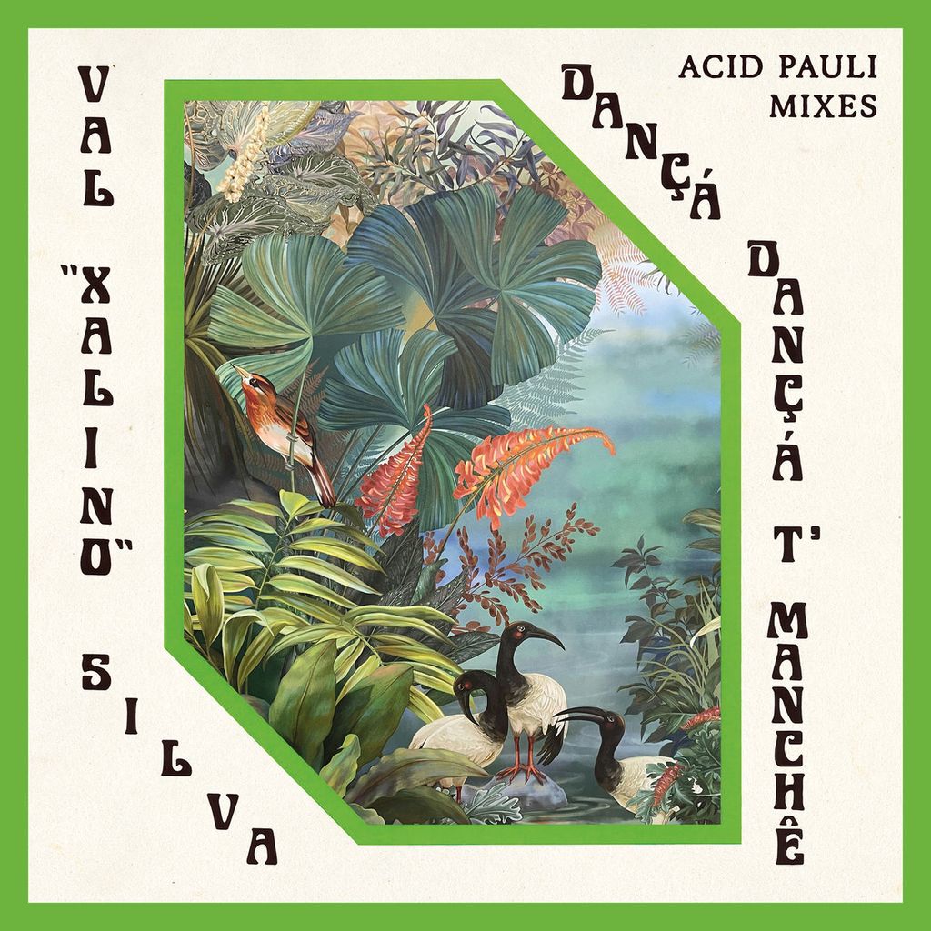 Val Xalino,Acid Pauli—Dançá Dançá T'Manchê(Acid Pauli Mixes) 01