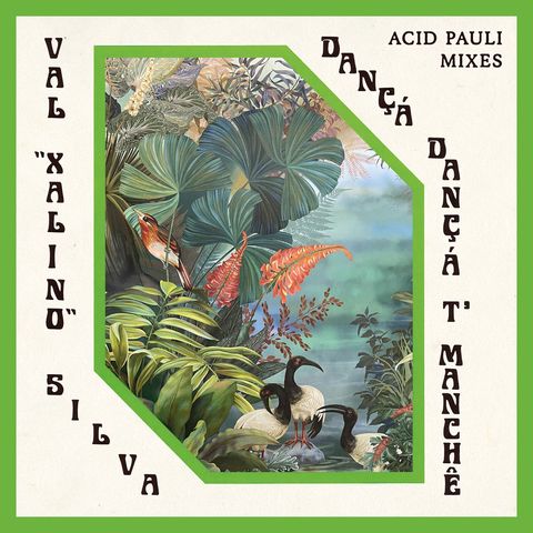 Val Xalino,Acid Pauli—Dançá Dançá T'Manchê(Acid Pauli Mixes) 01