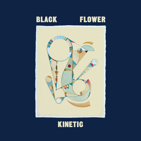 Black Flower—Kinetic 01