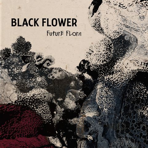 Black Flower—Future Flora 01