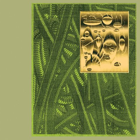 De Beren Gieren—Less Is Endless 01