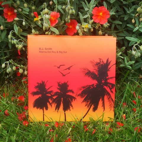 B.J. Smith—Marina Del Rey&Big Sur 02