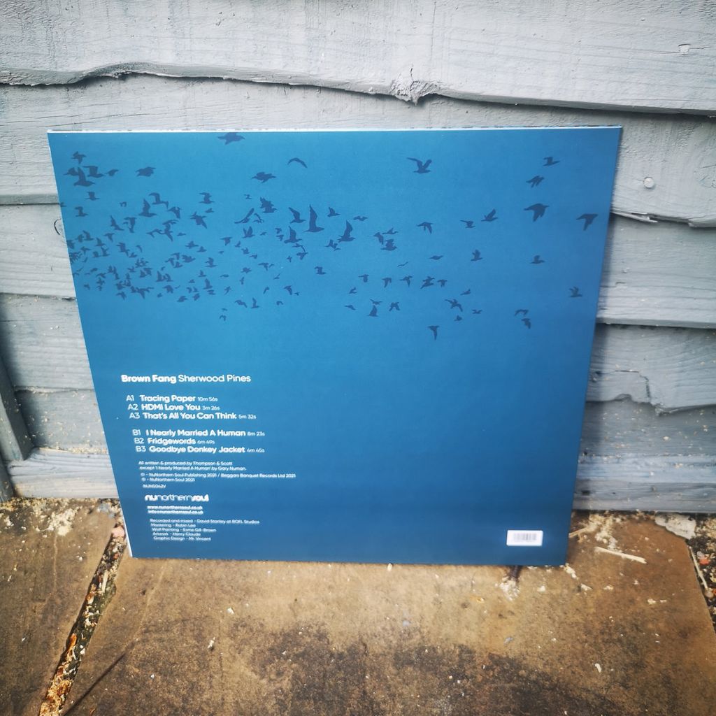 Brown Fang—Sherwood Pines 05