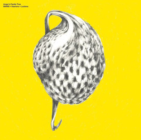 Maris—Anger's Family Tree 01