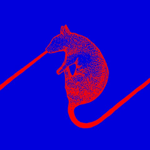 Dwarfs of East Agouza—Rats Don’t Eat Synthesizers 01