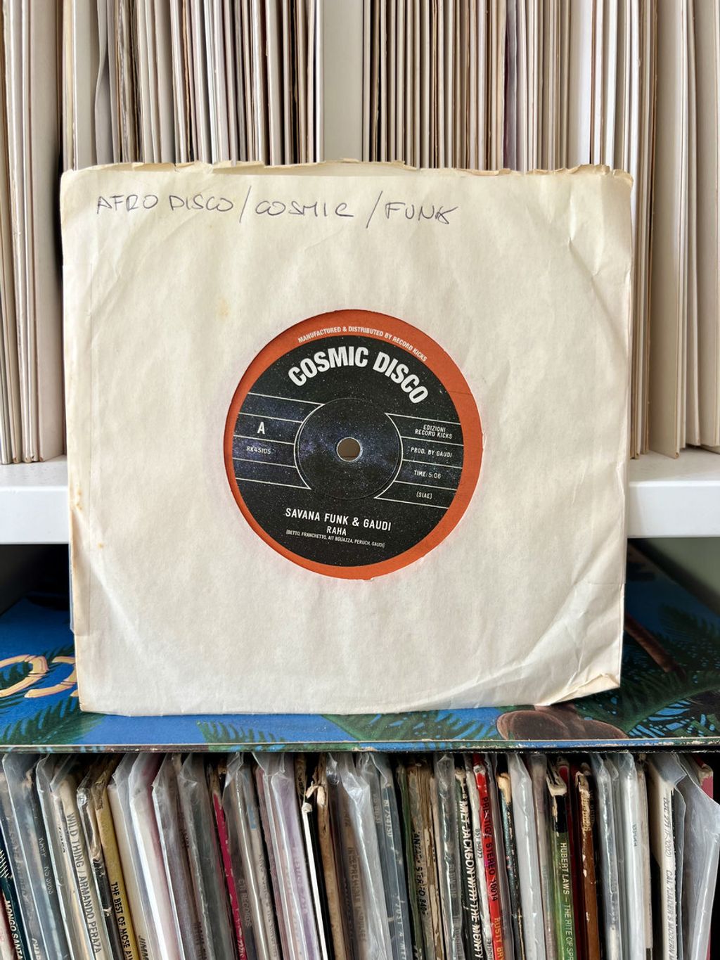 Savana Funk&Gaudi—Raha 02