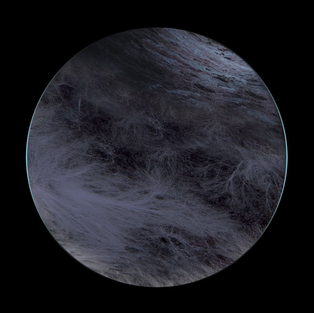 Ness—Flesh Of The Gods 01