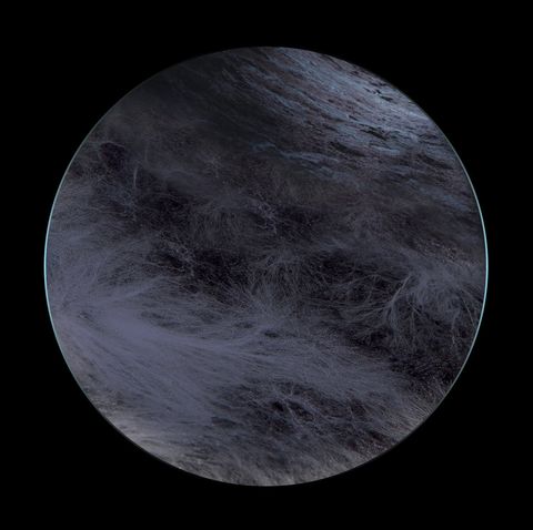 Ness—Flesh Of The Gods 01