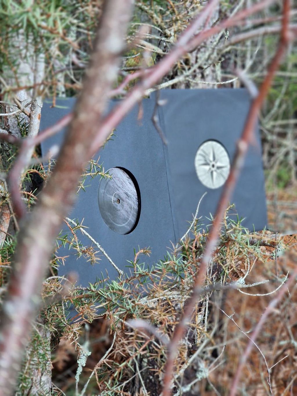 Ness—Flesh Of The Gods 02