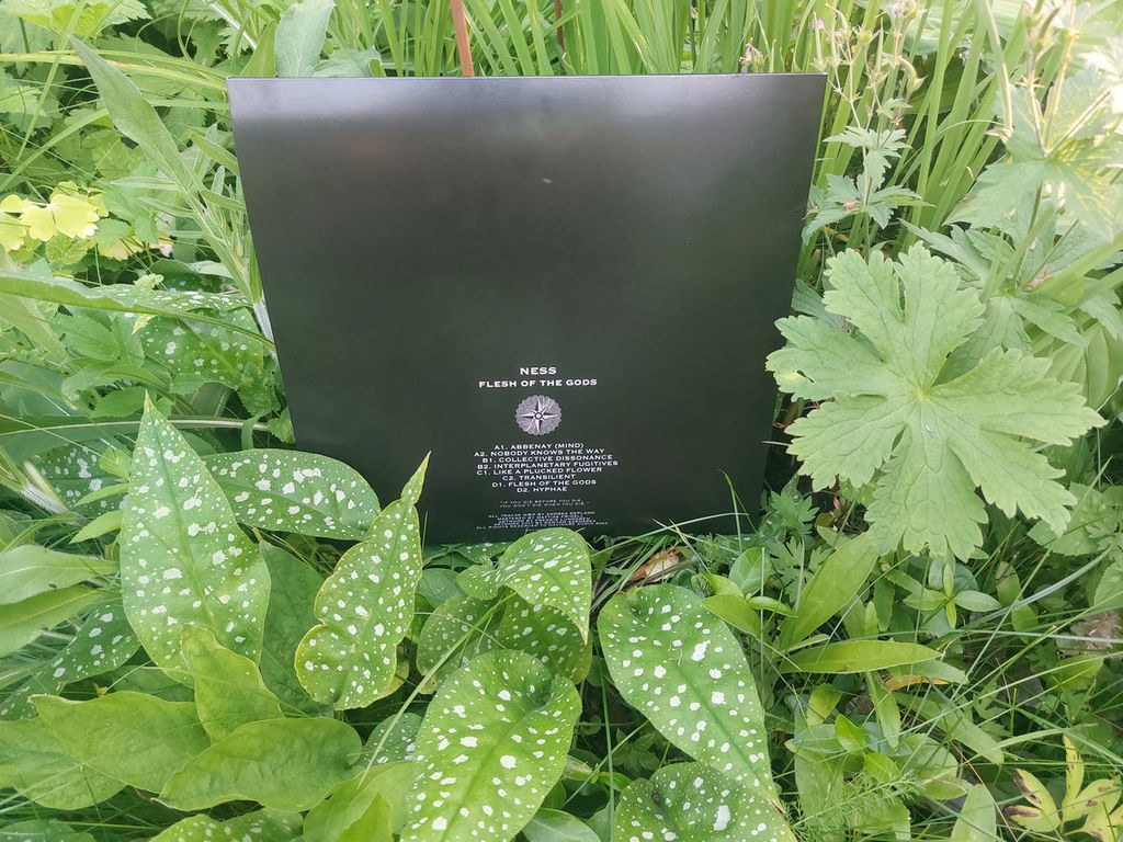 Ness—Flesh Of The Gods 05