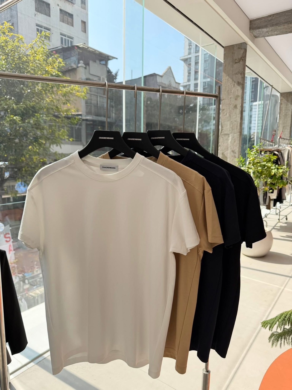 image_F2B6064E-02CA-4BA2-856A-CBB5631050E6_1774953897