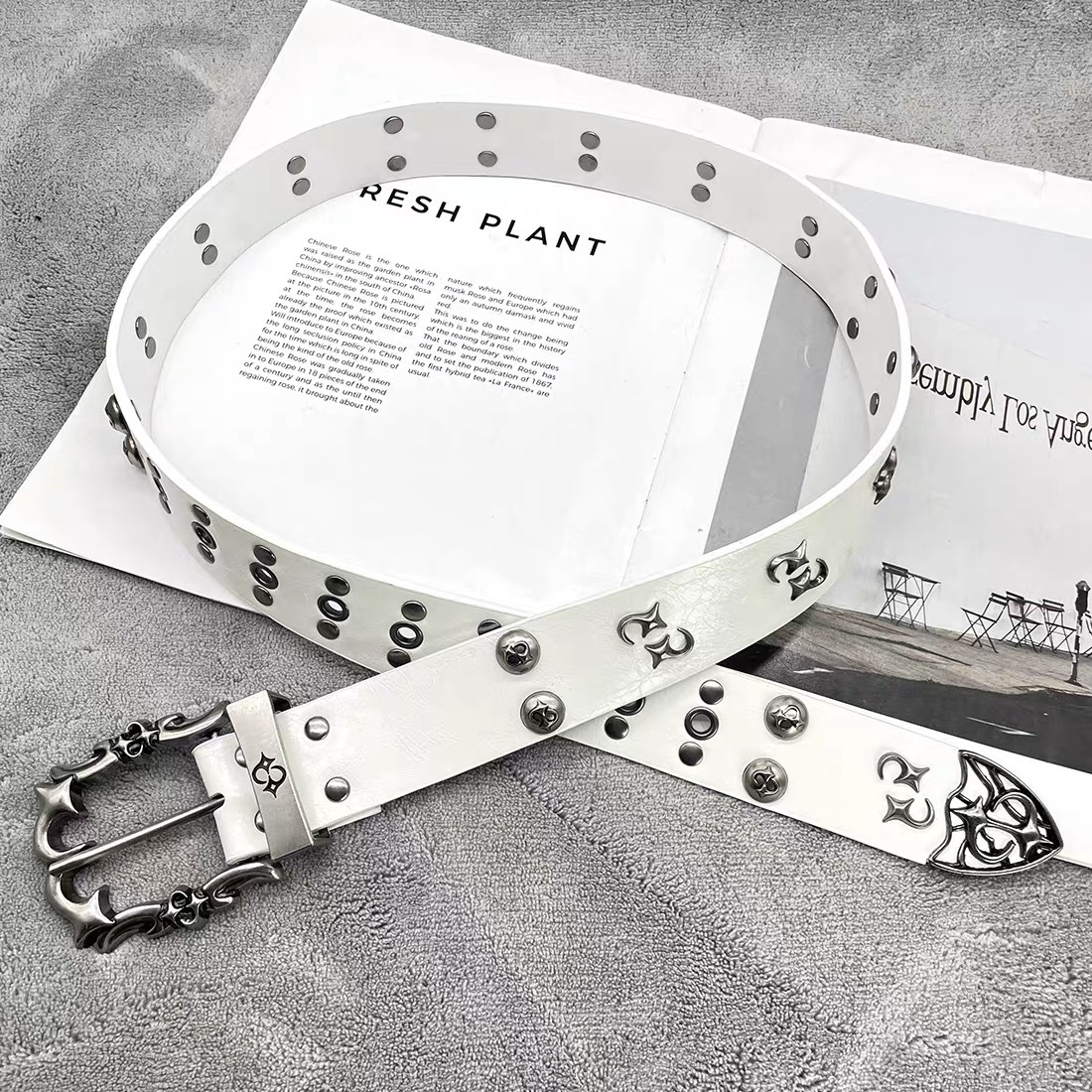 image_62D78798-68CD-4144-AC57-1EC9ECD09783_1768635769