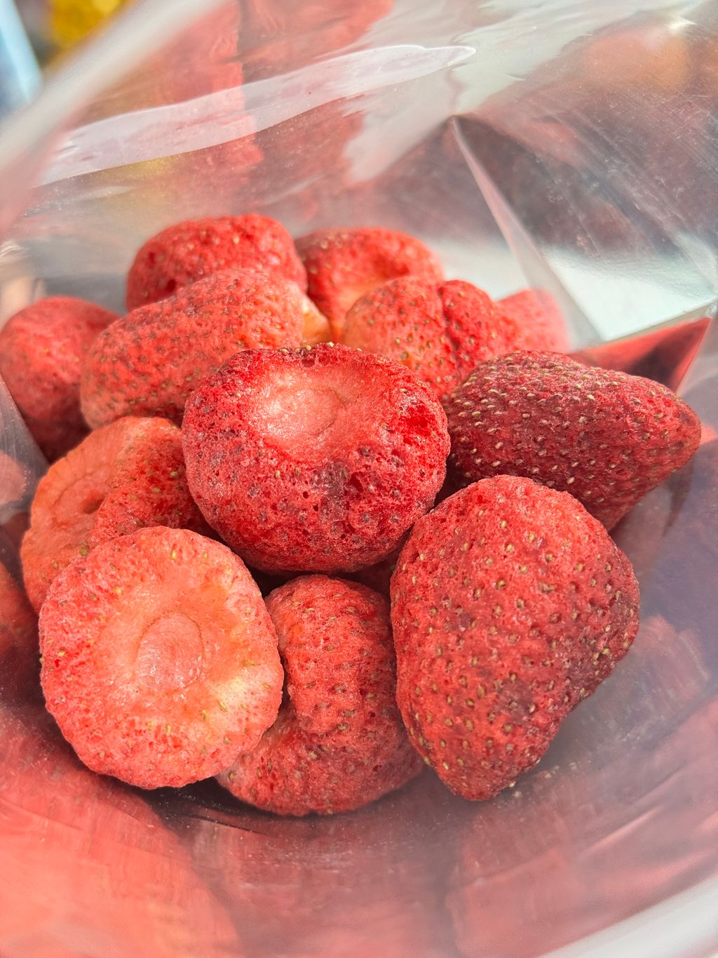 image_C39FDE12-8C9B-4124-845C-BBD7167DF809_1775721102