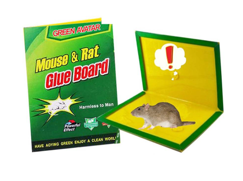 屏幕截图 2025-11-28 140641