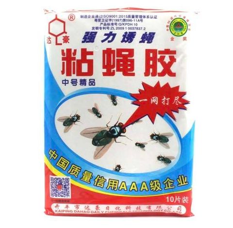 591730001_740762579039855_4073544335268109506_n