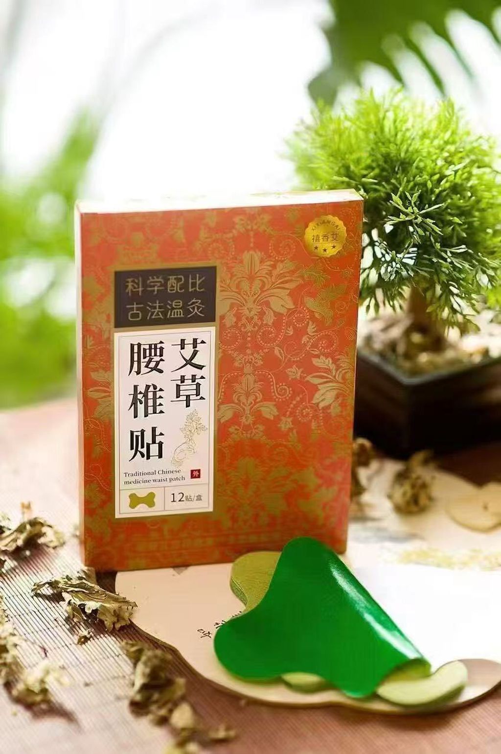 625365817_789726450810134_4797191940458782402_n