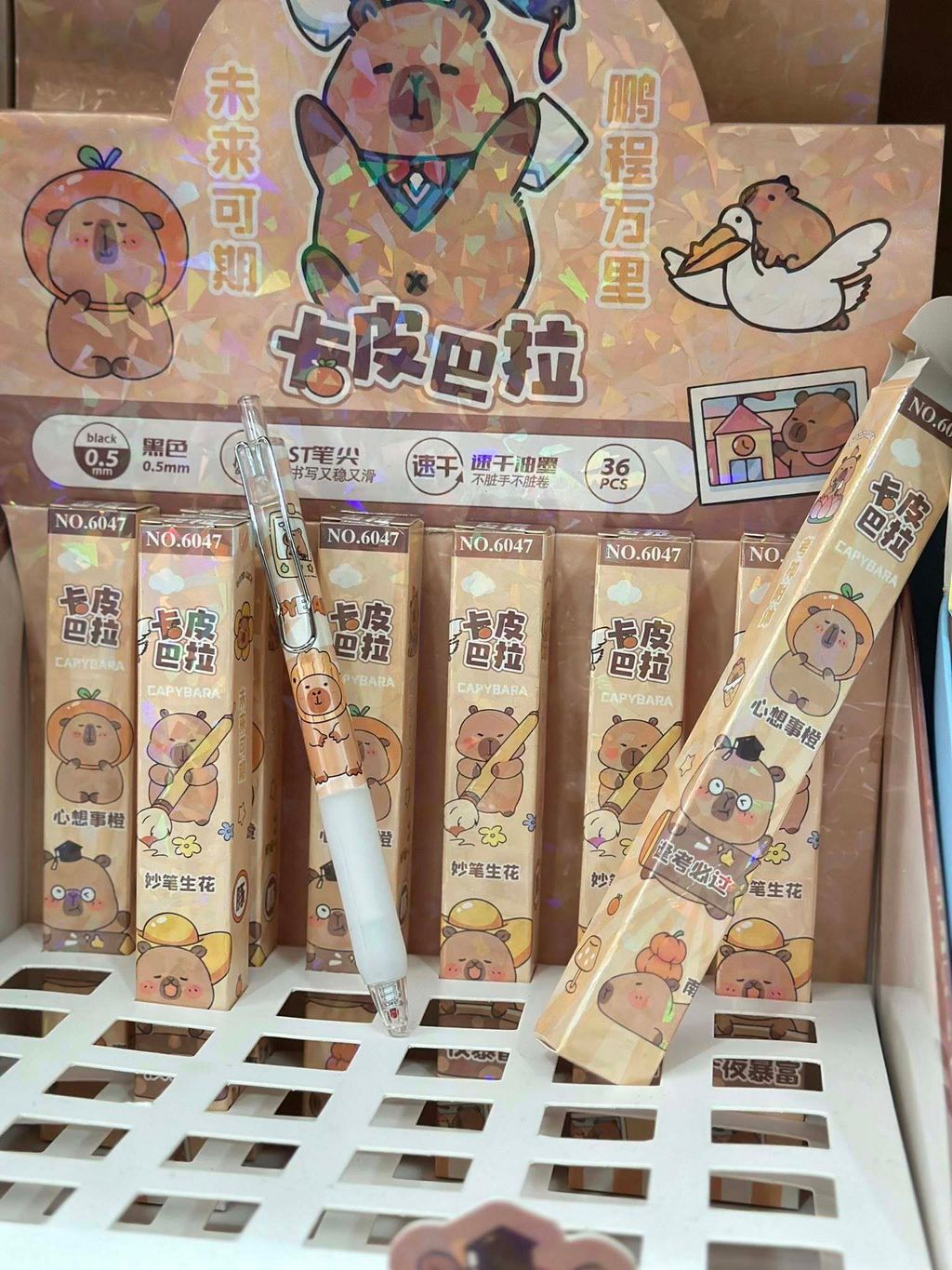 628015577_792210053895107_6877979989936230228_n