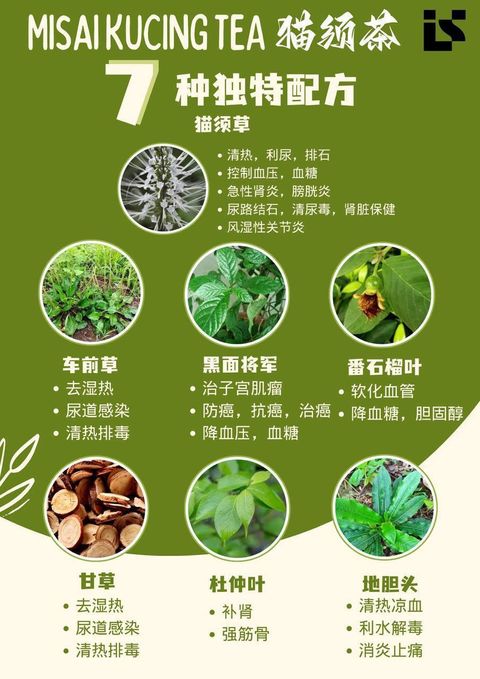 image_7D8B1BFE-D2FA-46AD-902F-D3C09D8EA6BF_1772076040