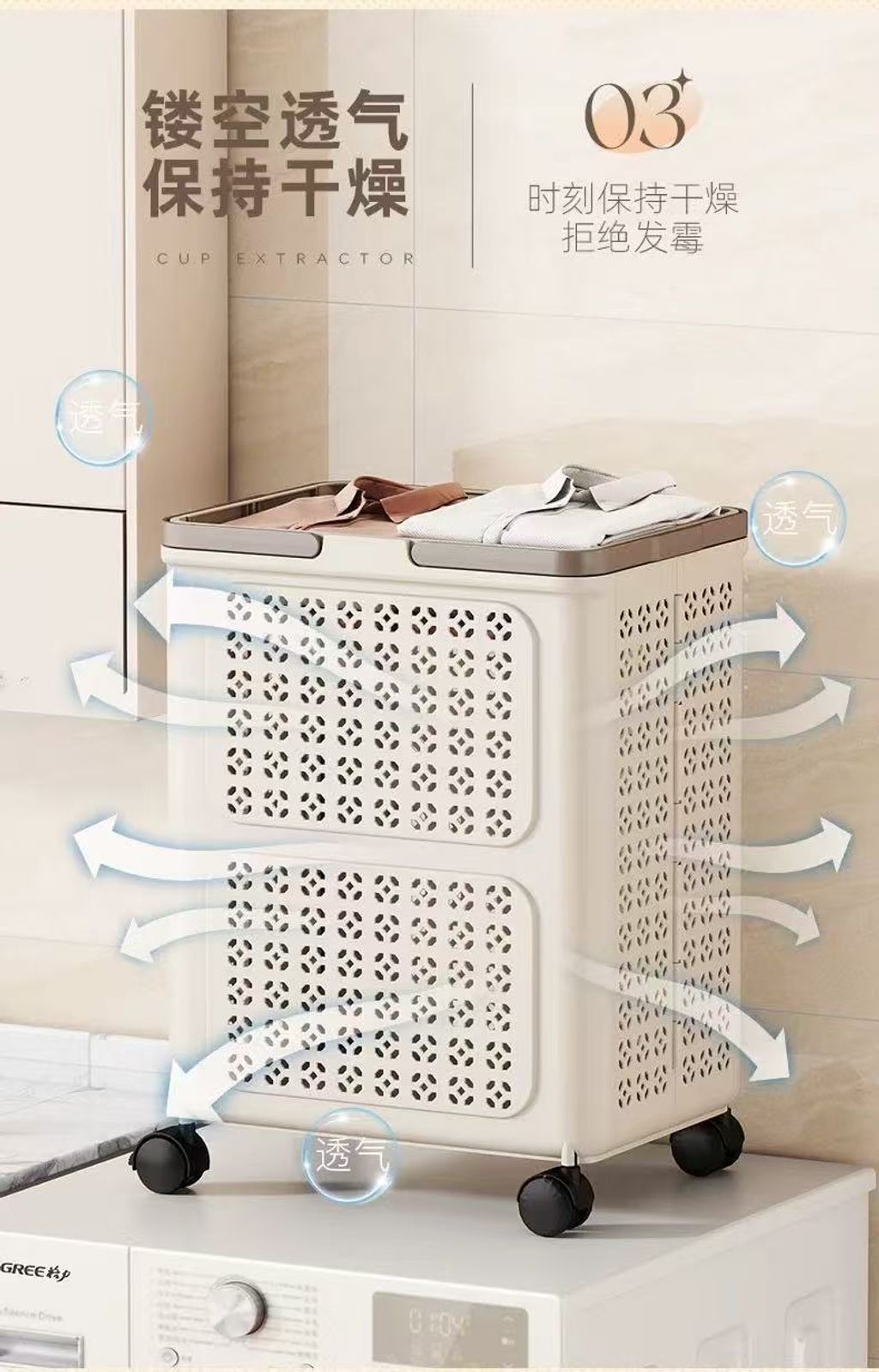 image_752168A1-FFAD-4787-8AC7-D654839A6FDD_1772235100