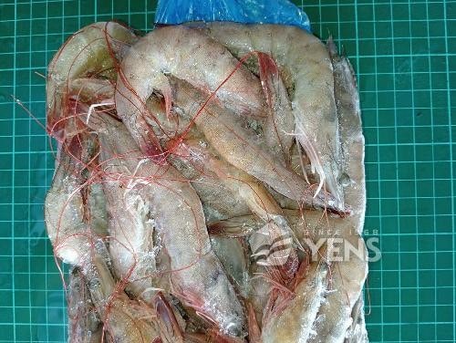 image_CA99B855-F33B-4805-B0F0-2148738B1F37_1760775625