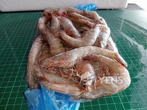 image_DFF2D26C-1B69-4B50-8C5E-2BCFD2396245_1760775625