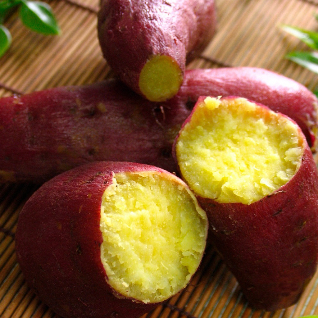 tw-11134207-81ztm-mi3ffm65gqo449