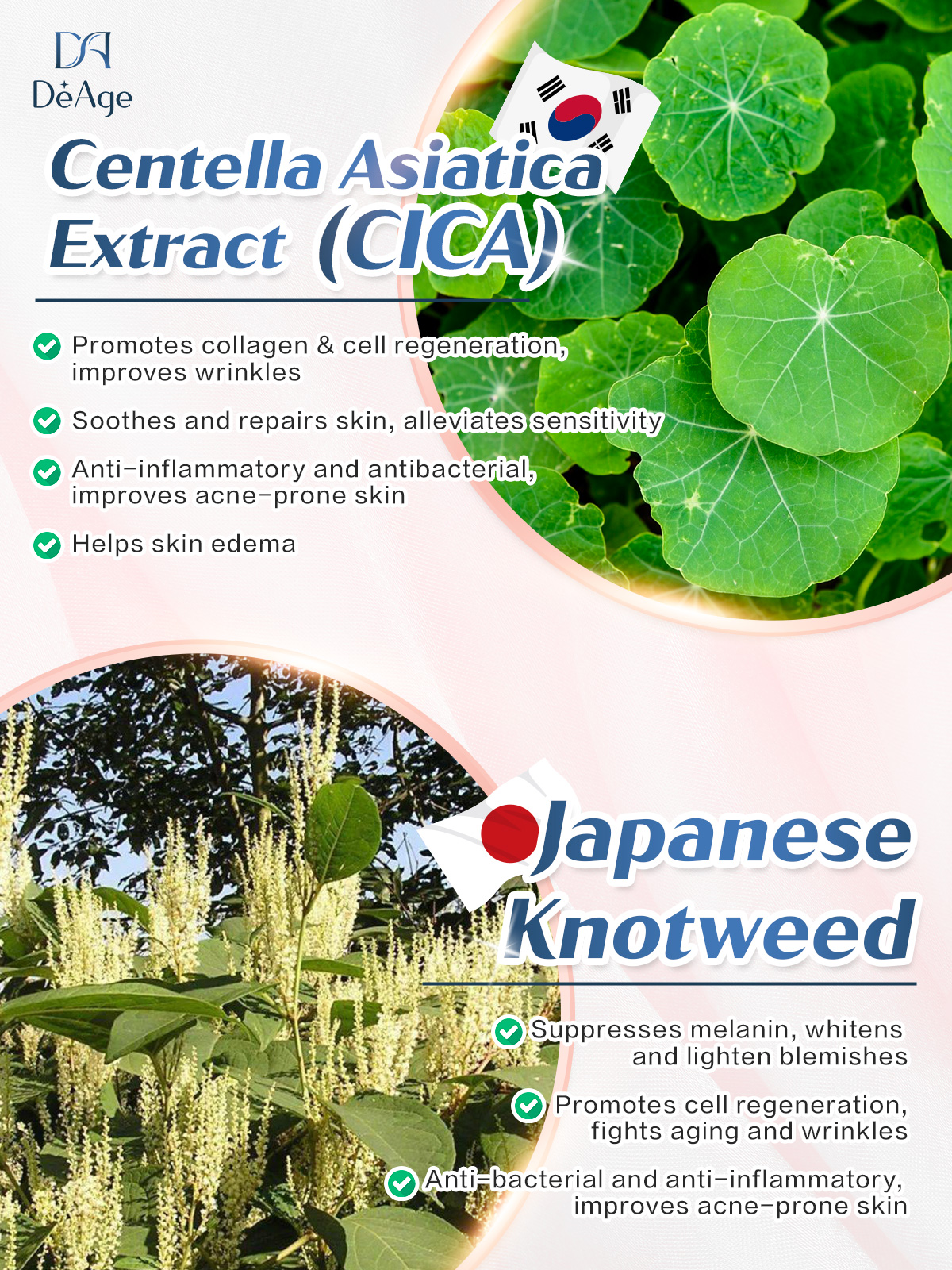 DeAge_Ads-1eng-1