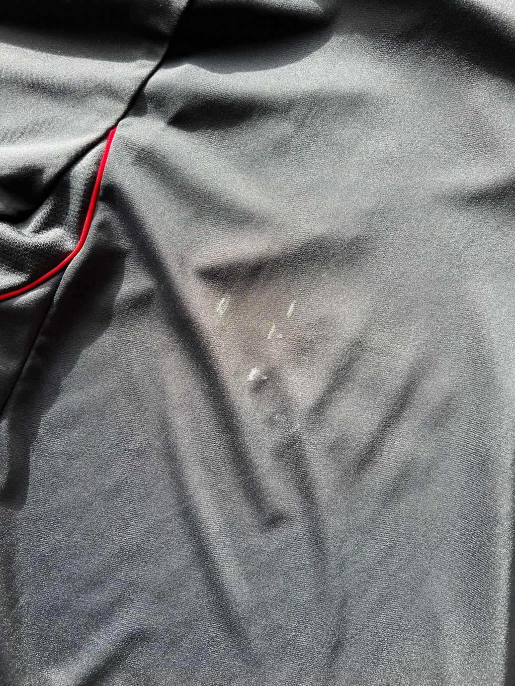 image_41621B3F-AAAF-4C36-9D85-B46201E37FE4_1760030500