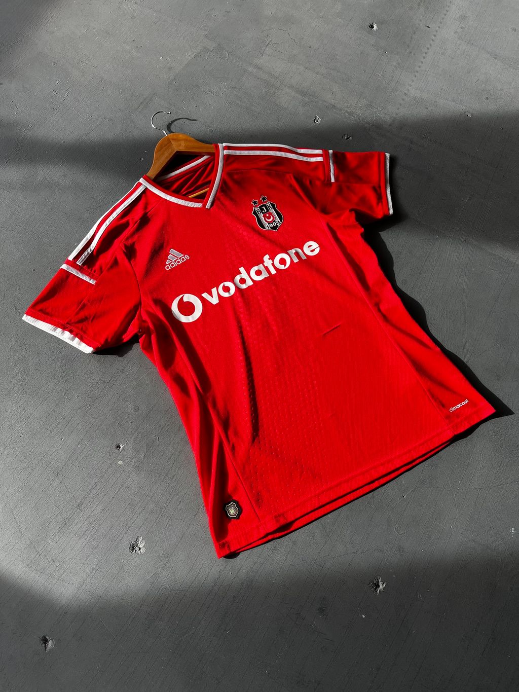 image_A0E29C04-9B9C-446B-939C-F7A08B79DE77_1760030563