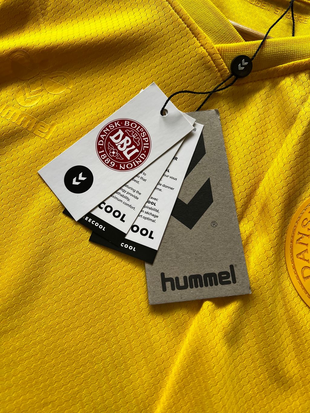 image_969B3161-218D-4AB0-8183-46F0834F6A96_1766157218